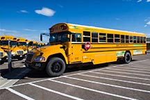 photo of a fleet of school buses